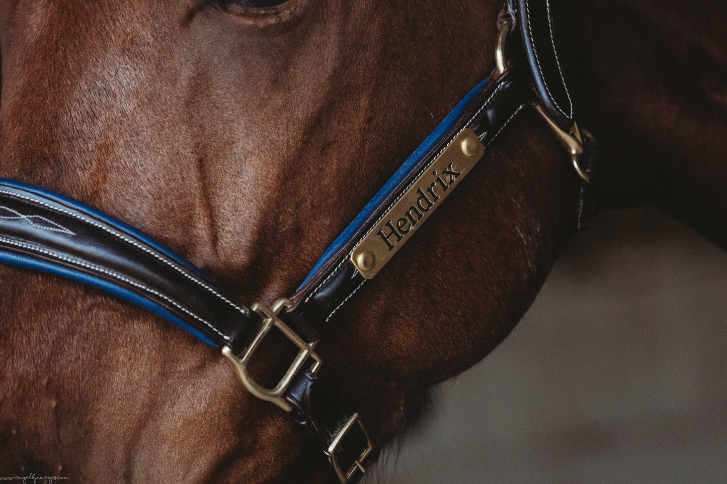 Custom Haler Nameplate