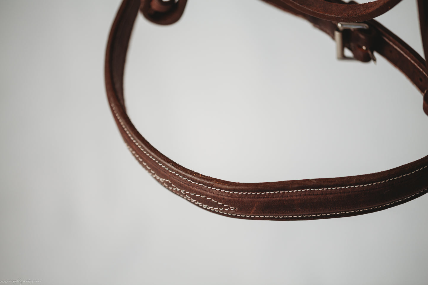 Traditional Hunter Full Bridle