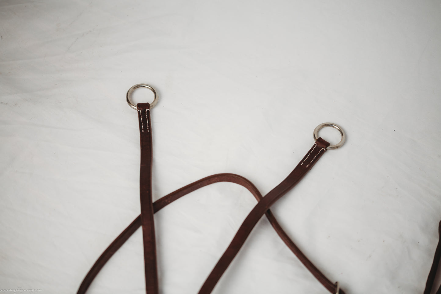 Traditional Running Martingale