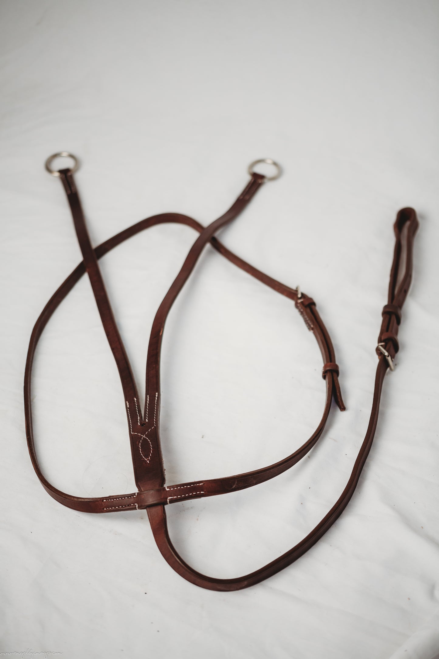 Traditional Running Martingale