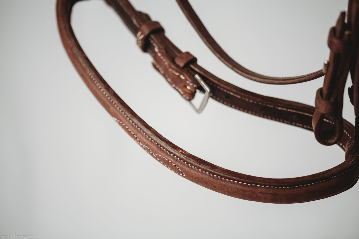 Traditional Hunter Bridle