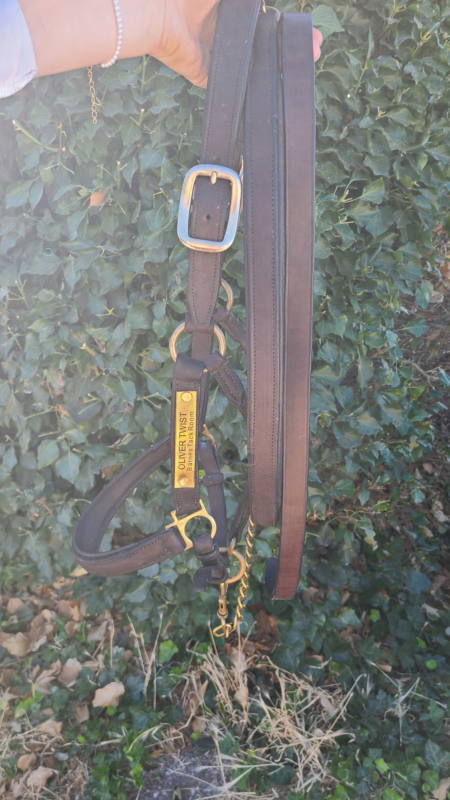 Derby Custom Leather Lead with Chain