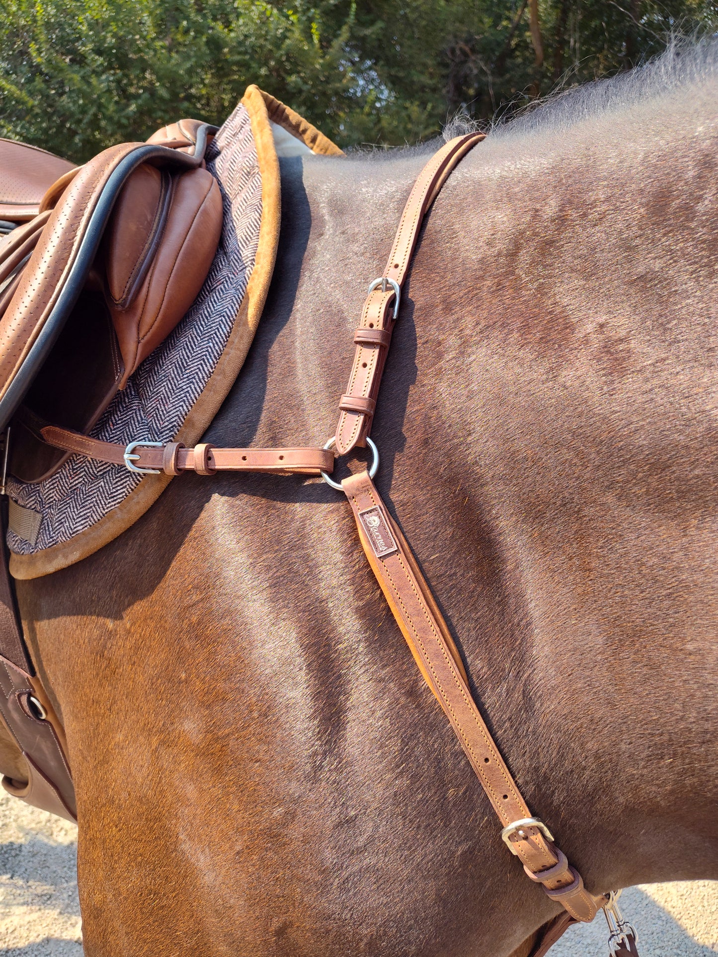 3-Point Breastplate with Running Martingale