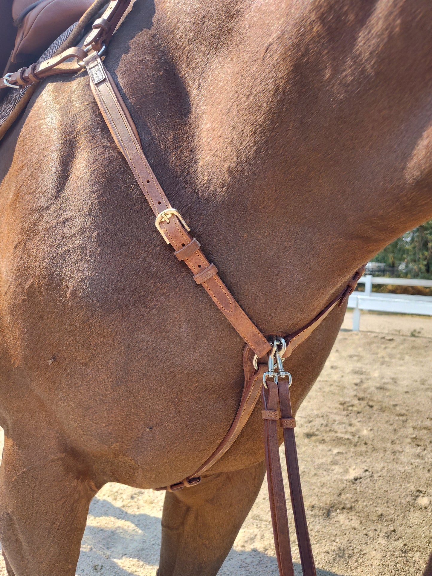 3-Point Breastplate with Running Martingale
