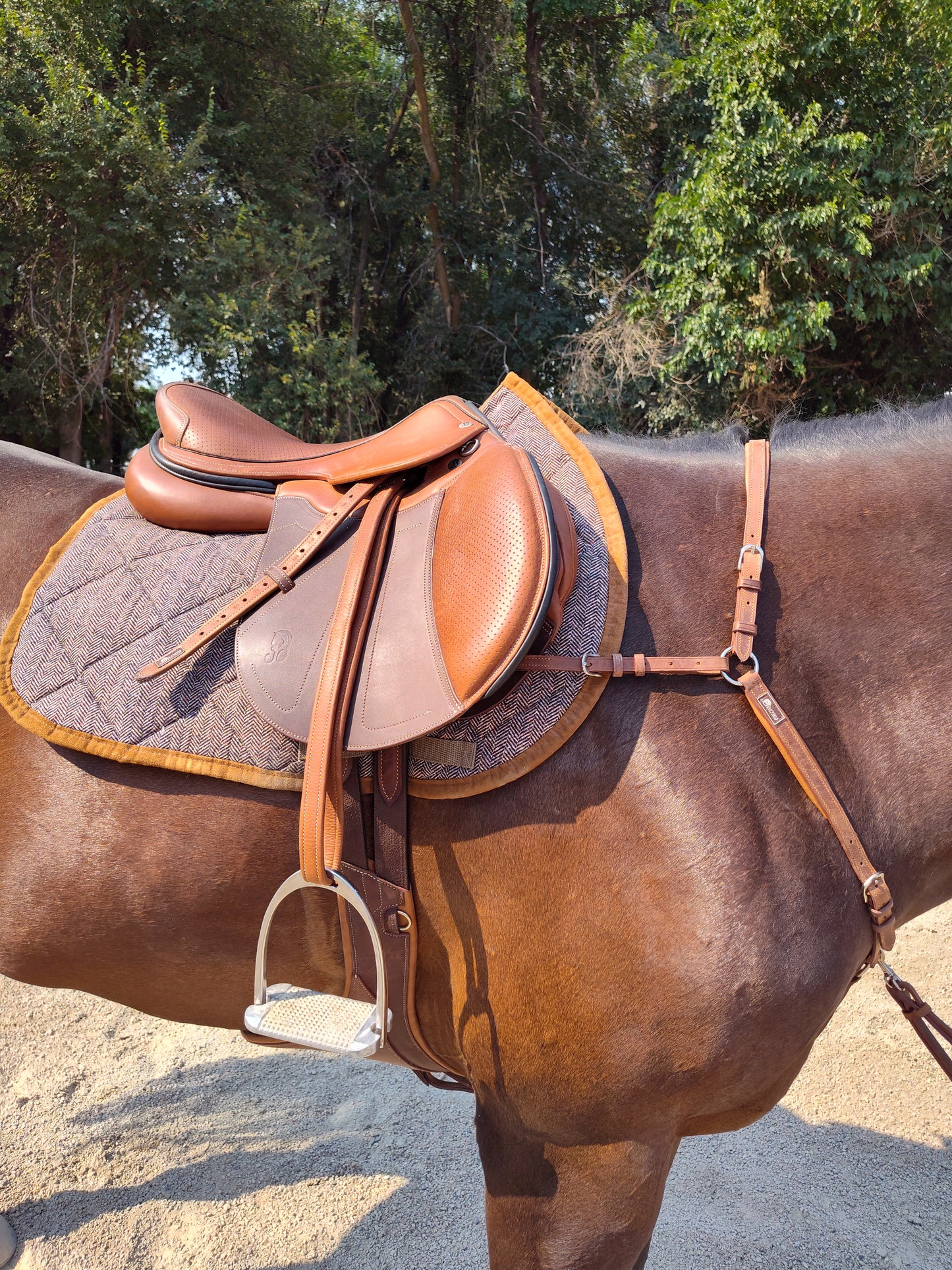3-Point Breastplate with Running Martingale
