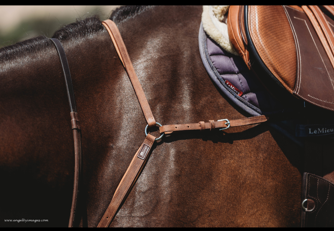 3-Point Breastplate with Running Martingale