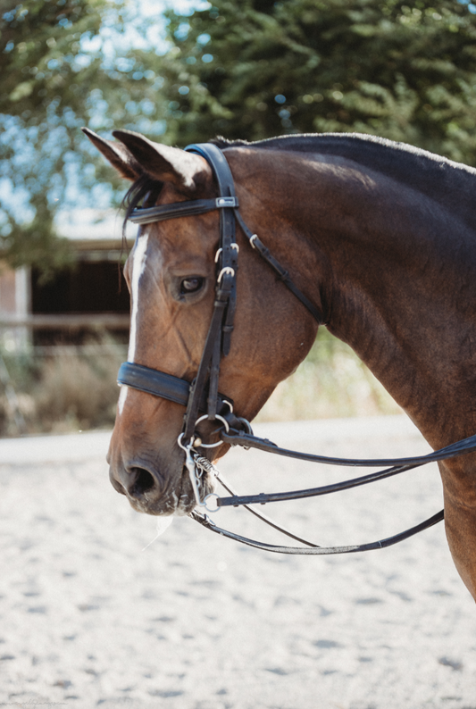 Raised Leather Reins - In Stock