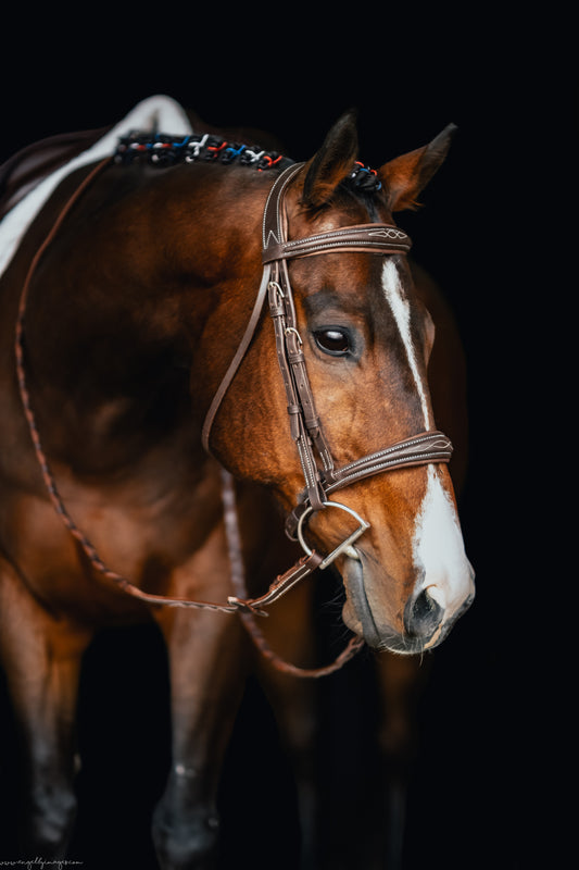 Second Series Hunter Wave Bridle