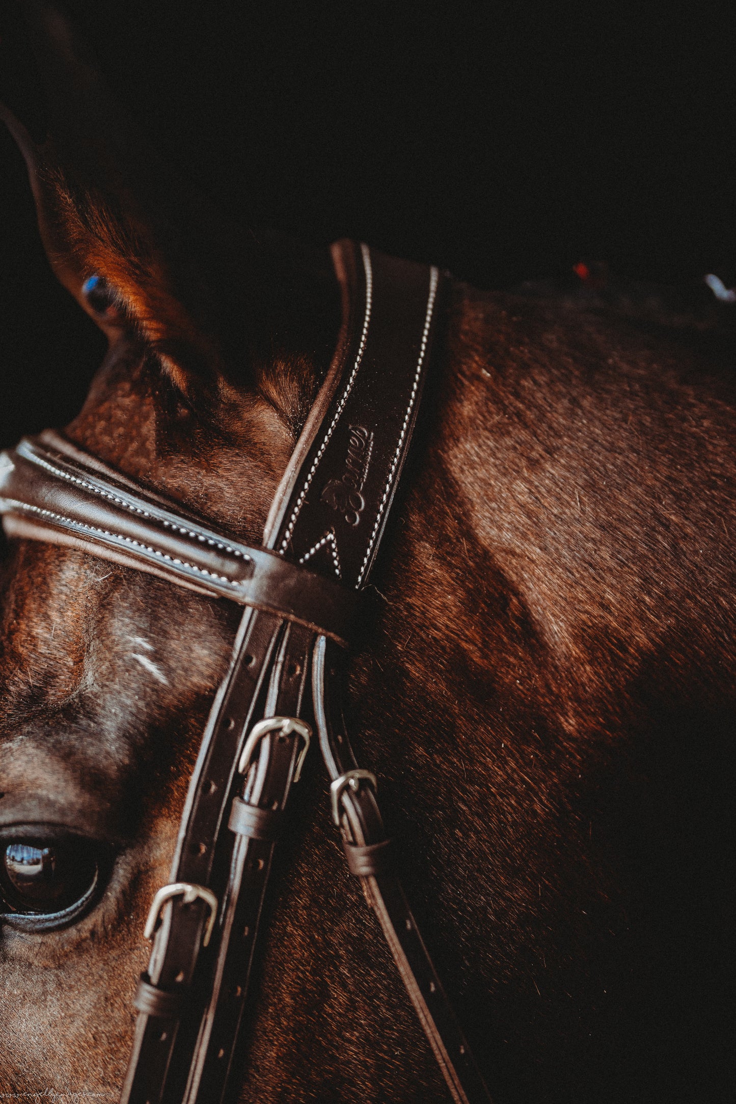 Second Series Hunter Wave Bridle