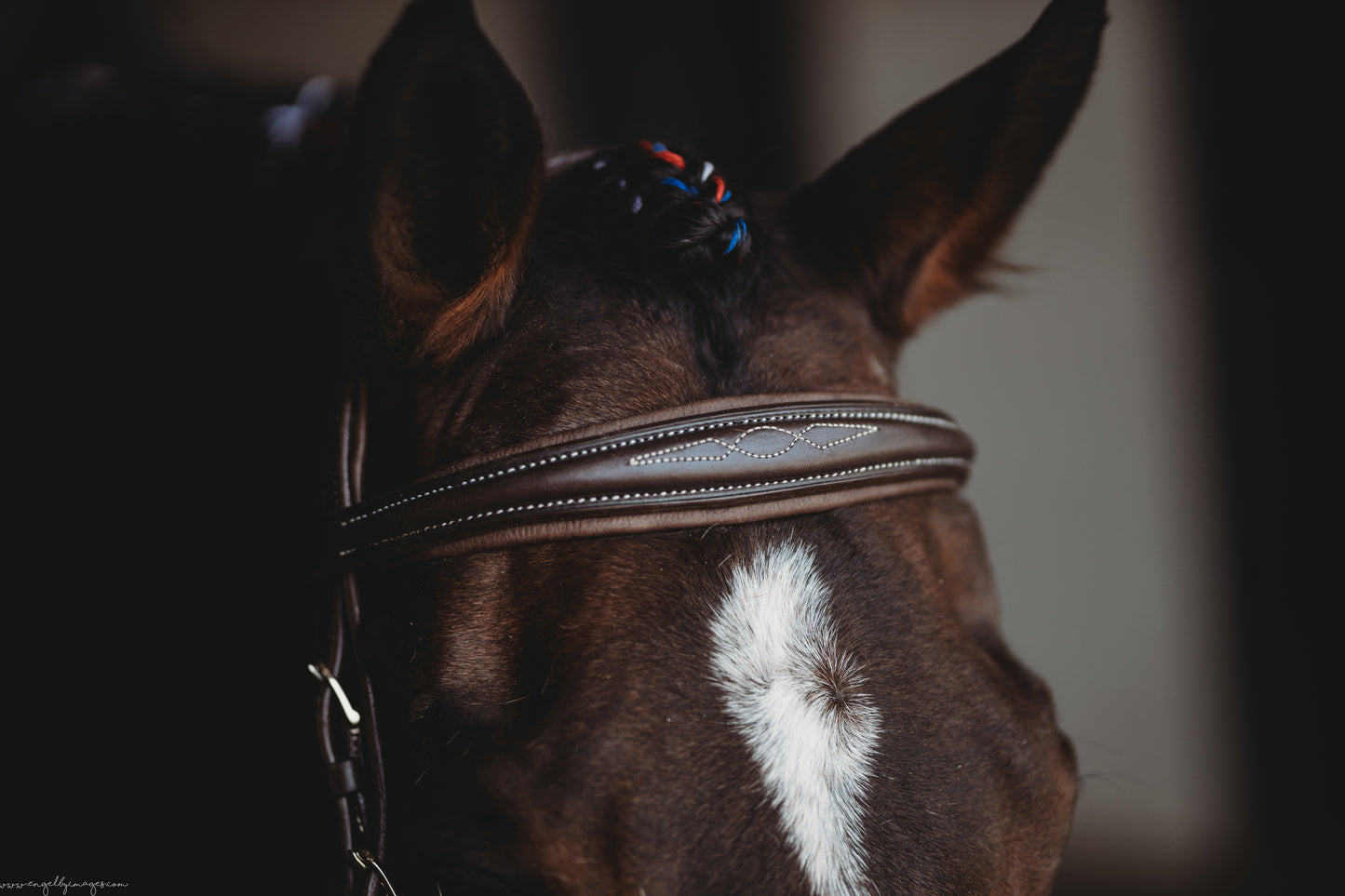 Second Series Hunter Wave Bridle