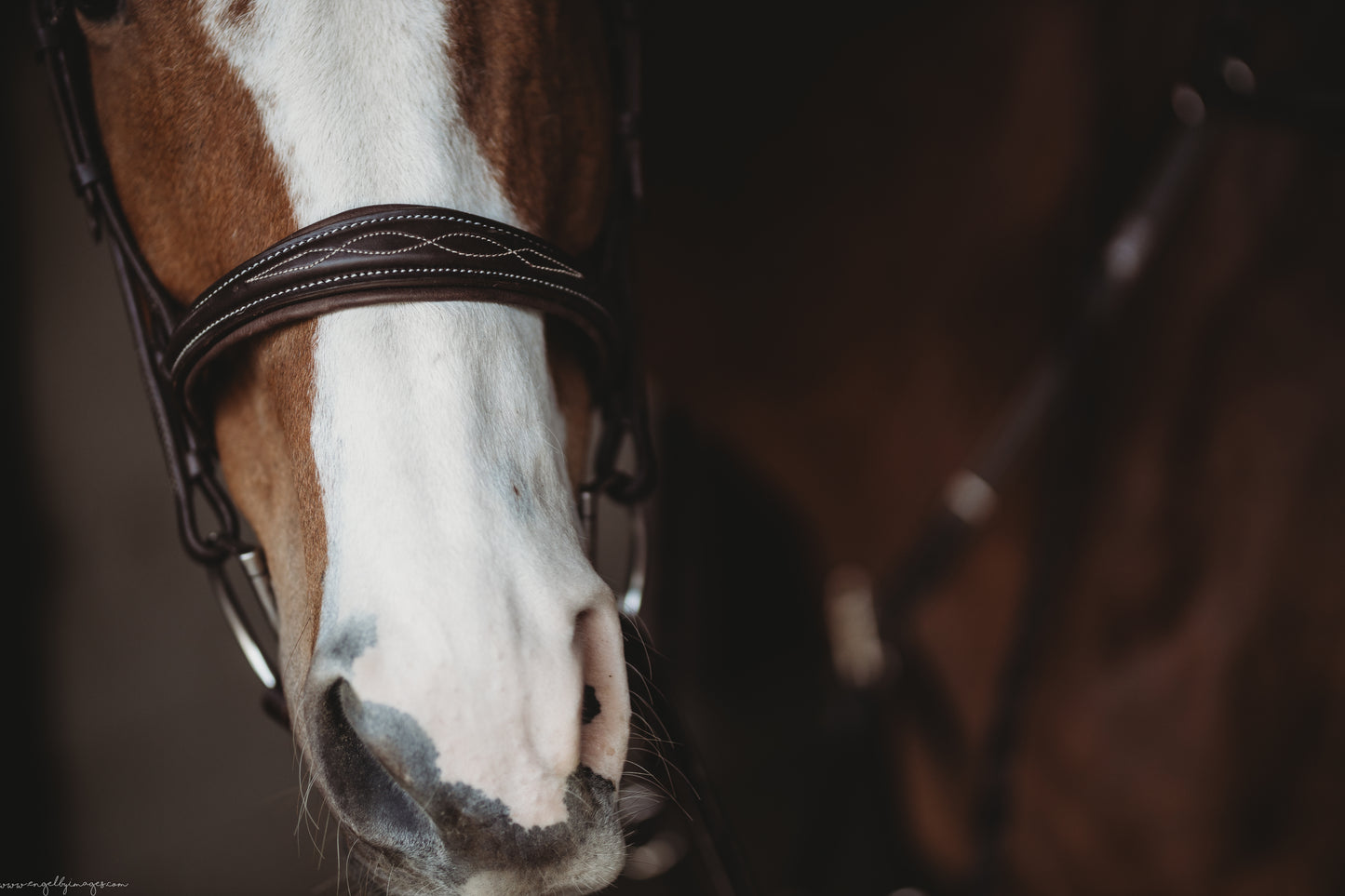 Second Series Hunter Wave Bridle