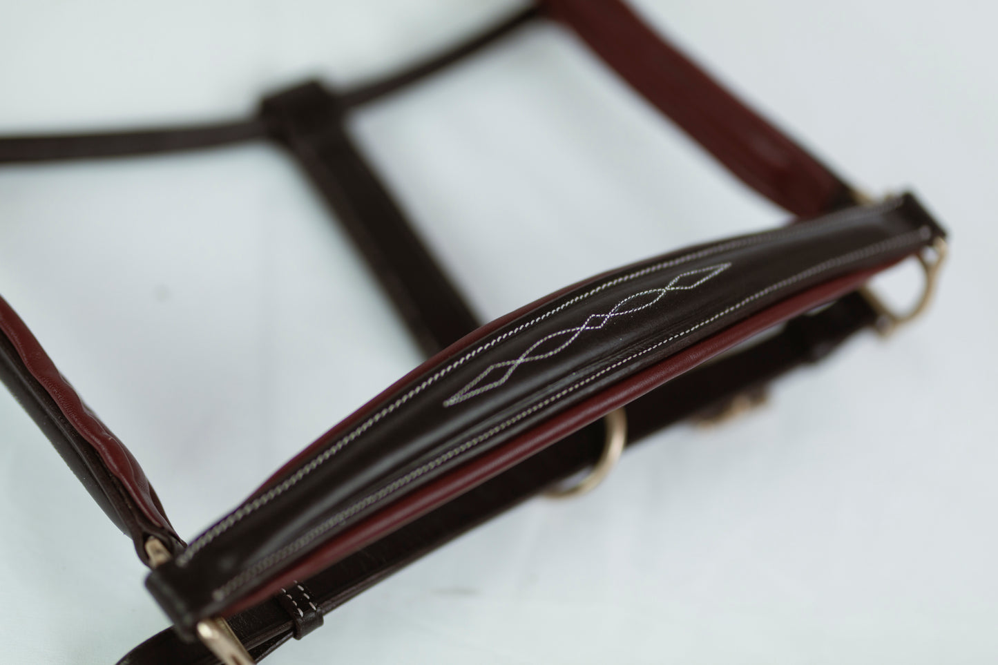 Leather Derby Halter