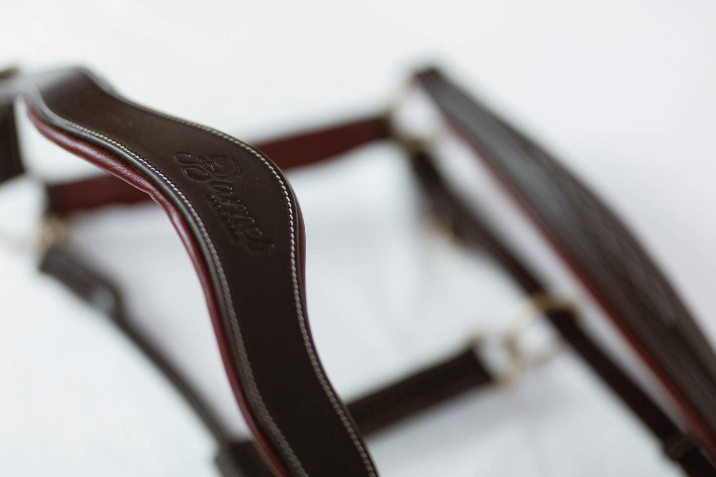 Leather Derby Halter