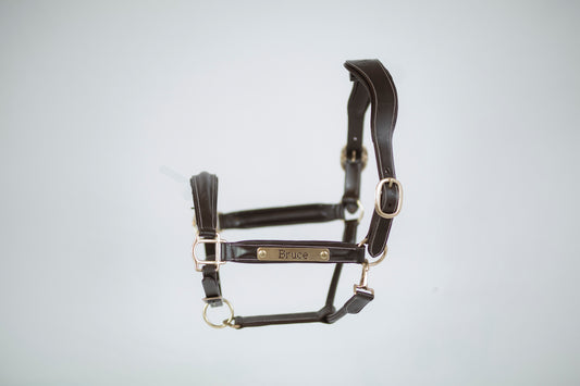 Leather Derby Halter