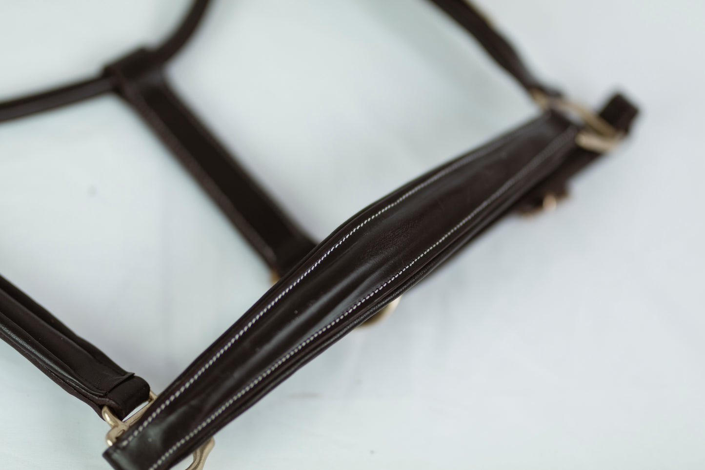 Leather Derby Halter