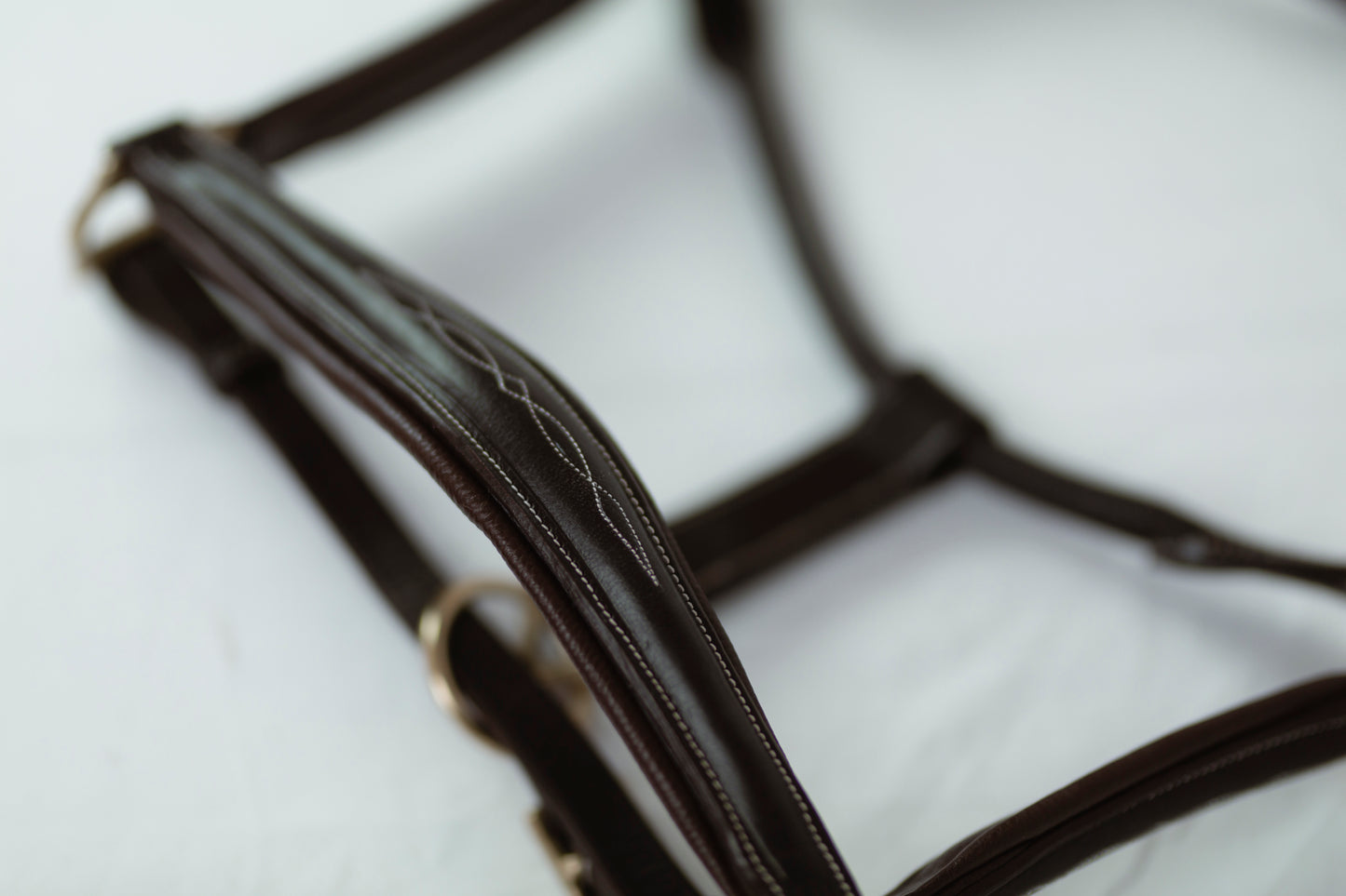 Leather Derby Halter