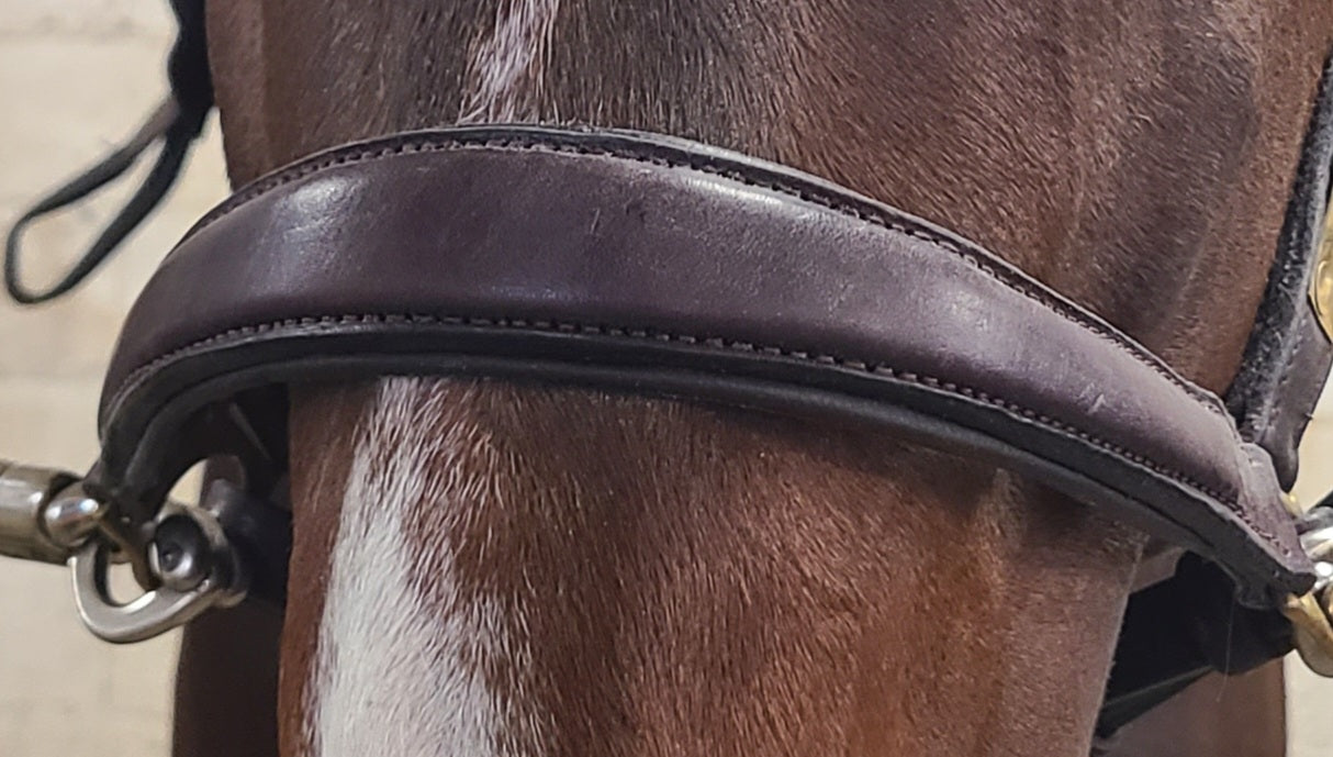 Derby Custom Leather Halter