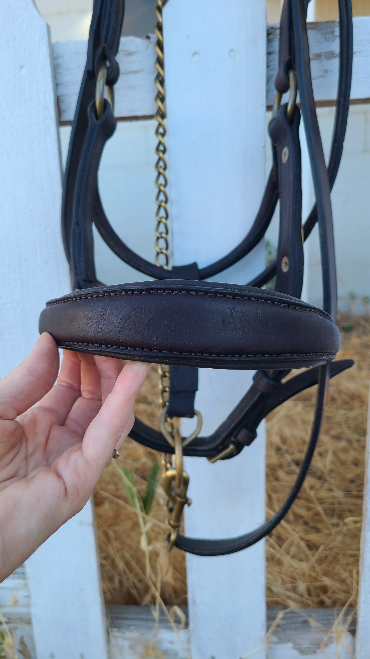 Derby Custom Leather Halter