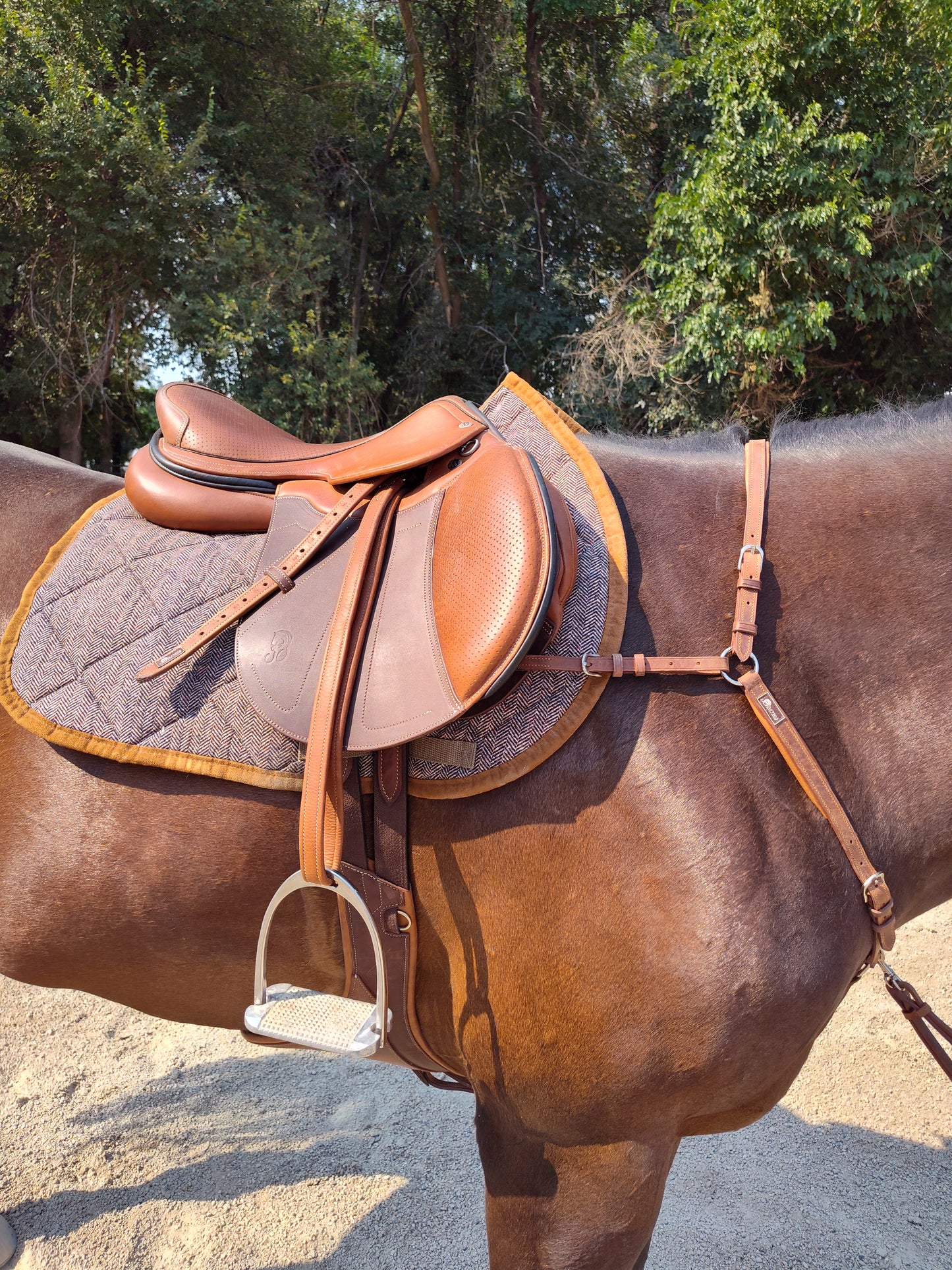 Breastplate: 3 Point Martingale