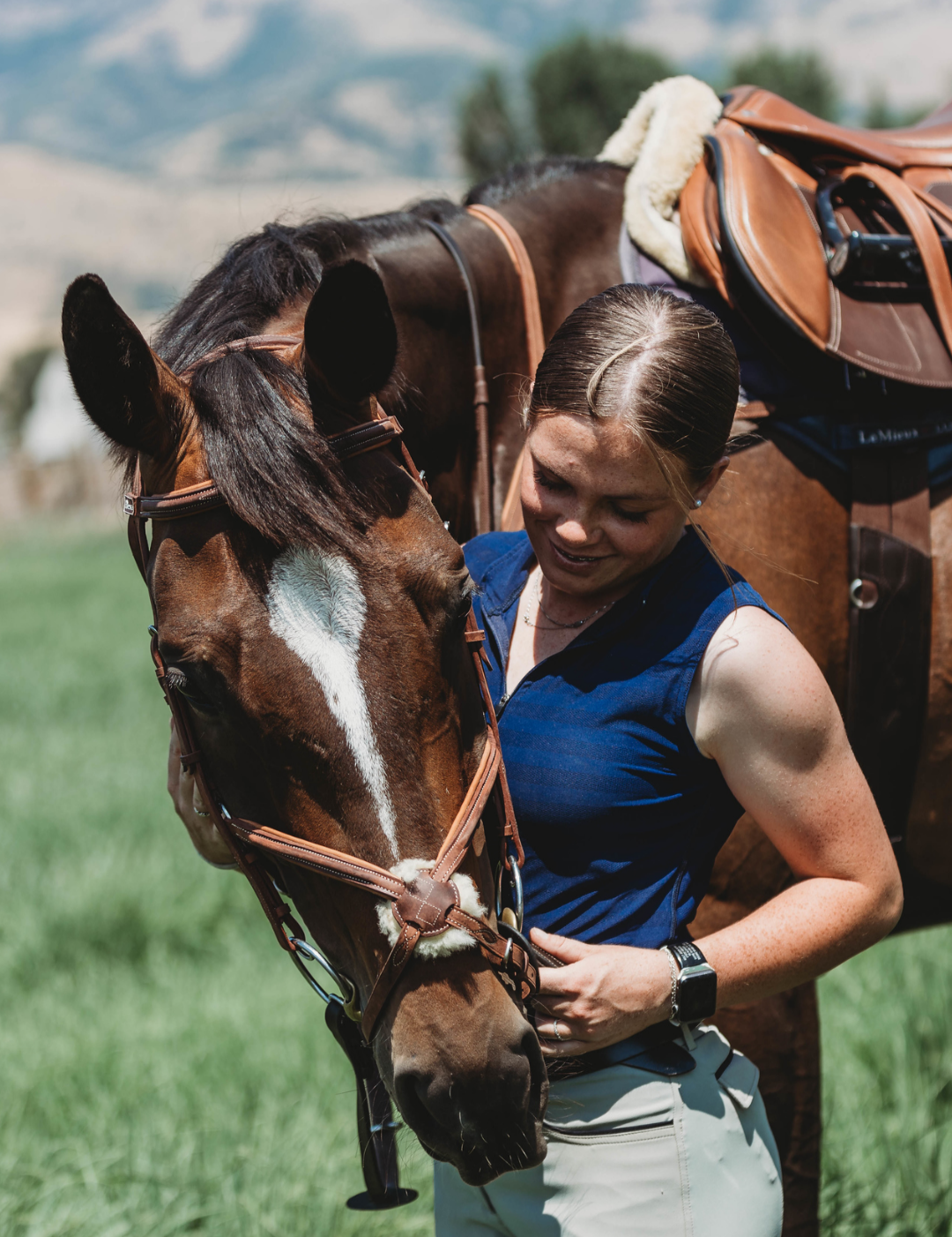 Figure 8 Bridle