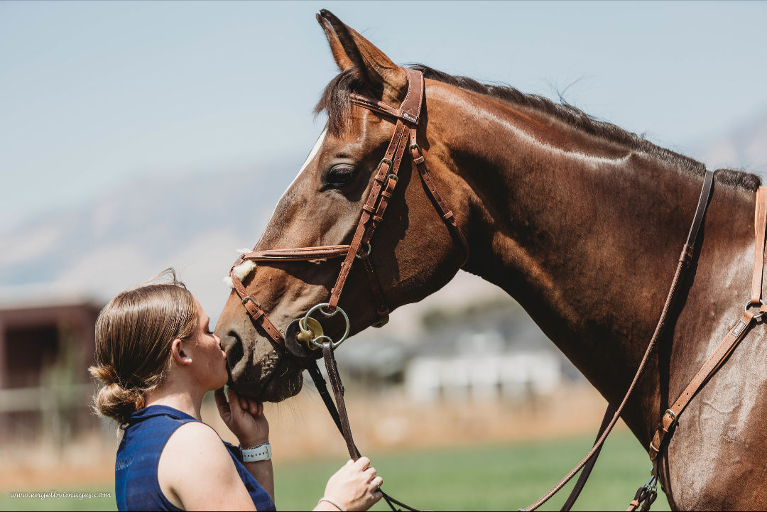 Figure 8 Bridle