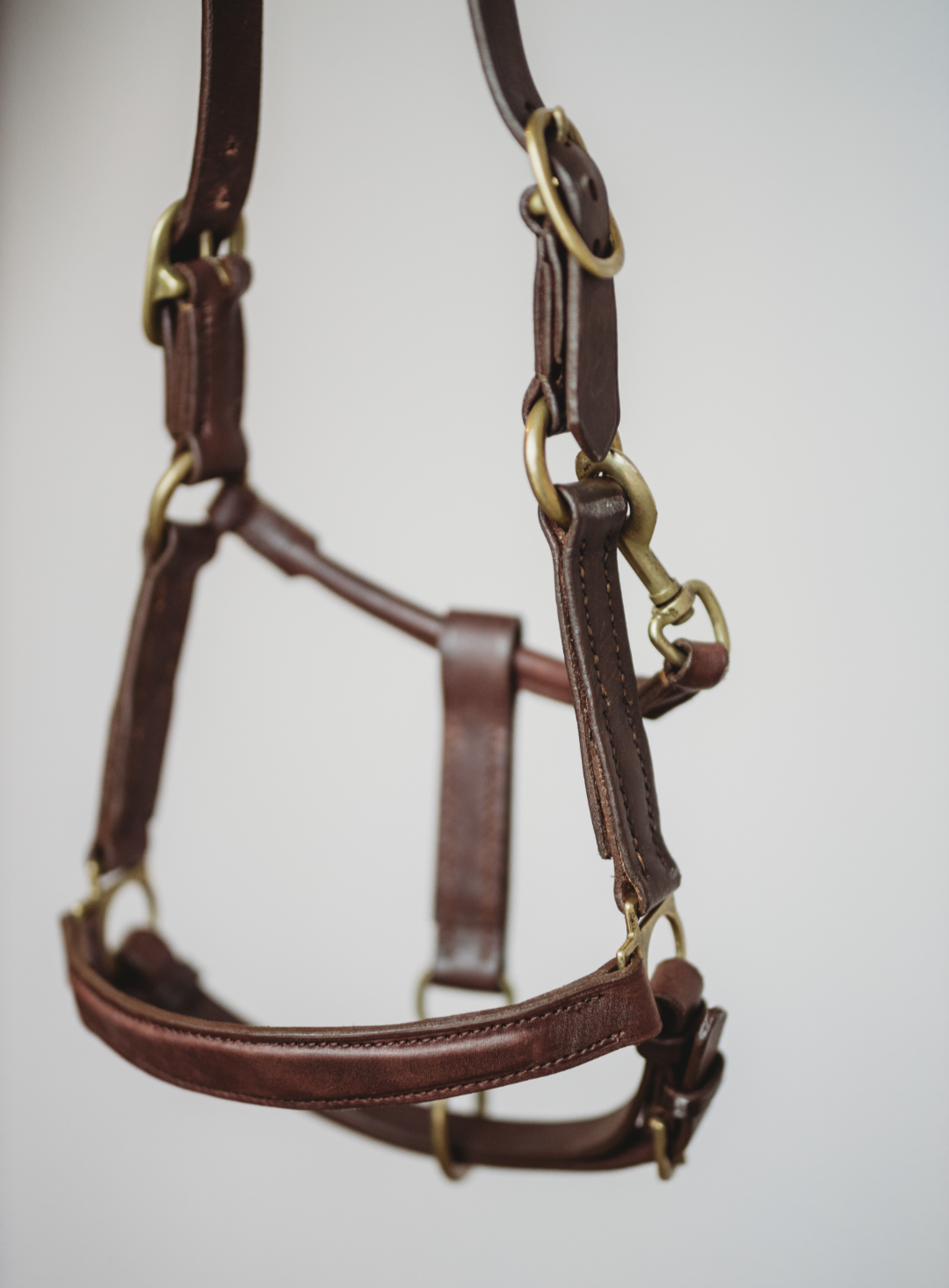 Derby Custom Leather Halter