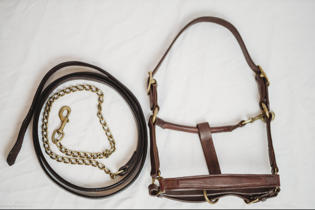 Derby Custom Leather Halter