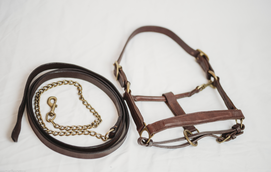 Derby Custom Leather Halter