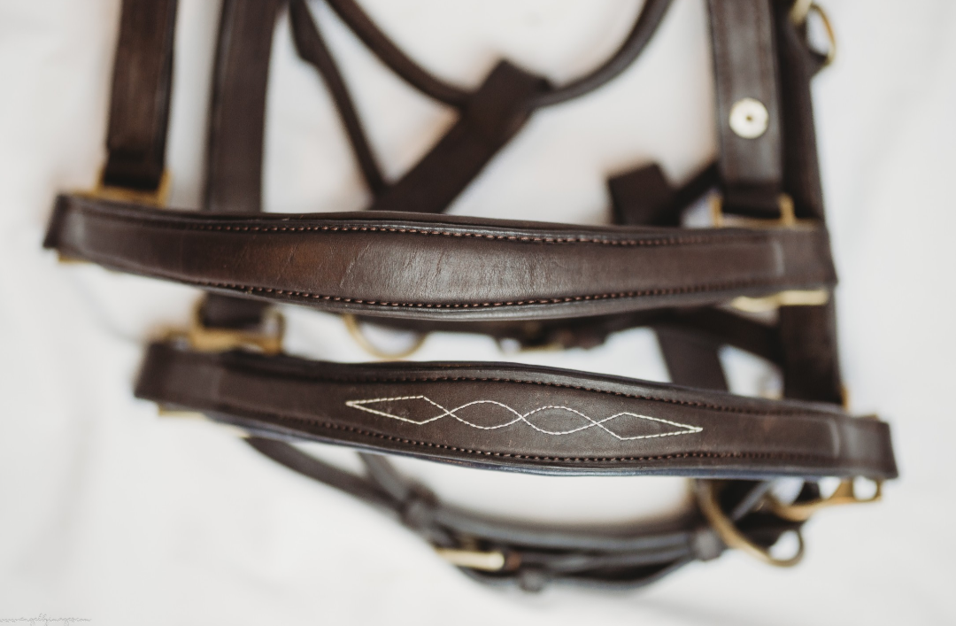 Derby Custom Leather Halter