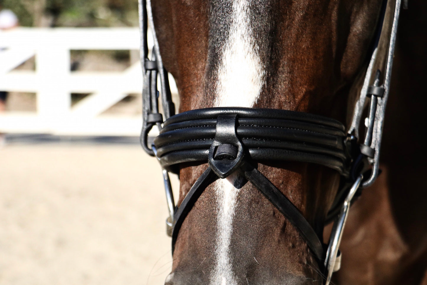 French Style Bridle