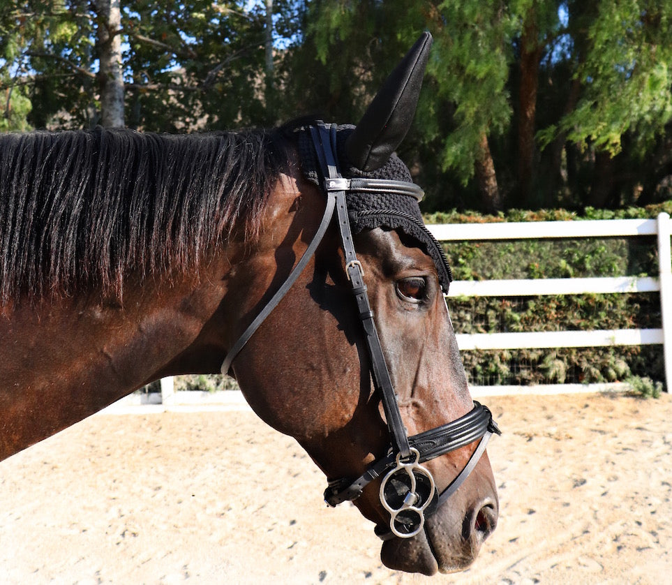 French Style Bridle