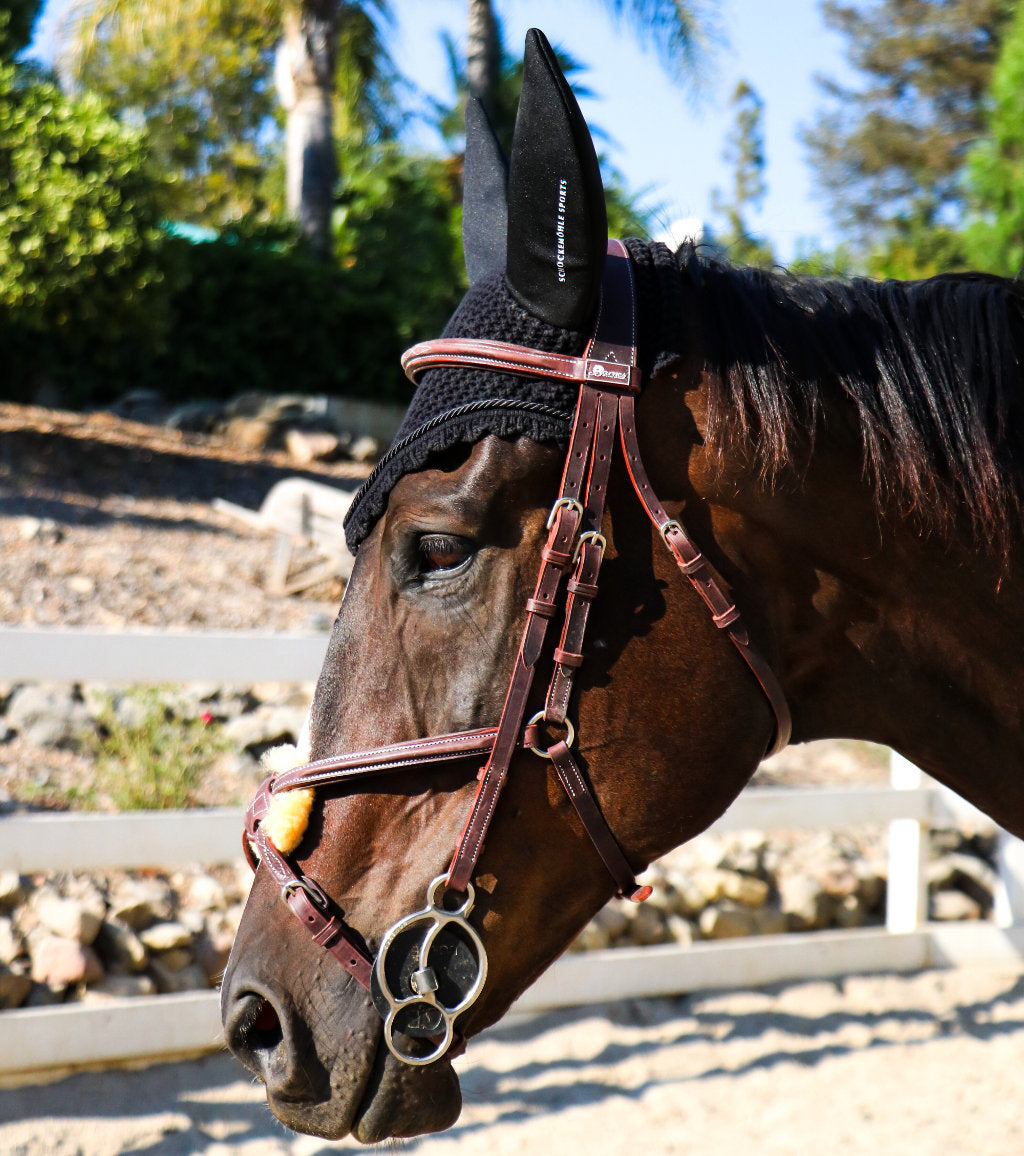 Figure 8 Bridle