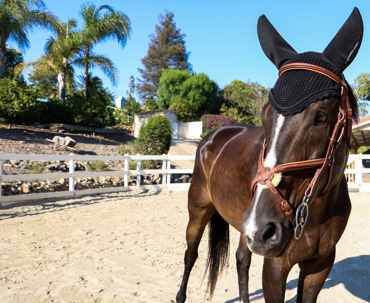 Figure 8 Bridle