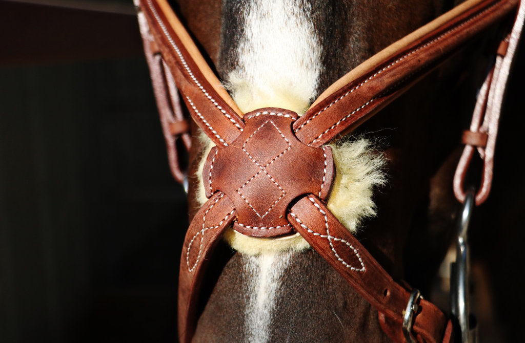 Figure 8 Bridle