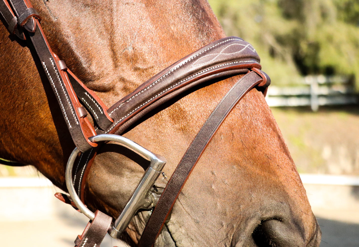 Wave Bridle