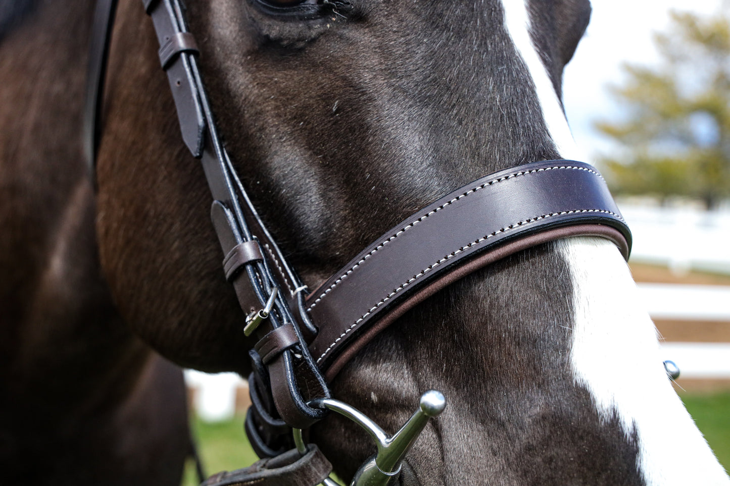 Wide Nose Bridle